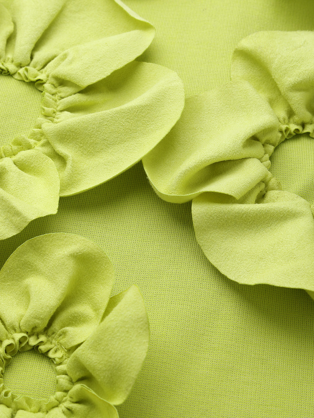 Lime Sleeveless 3D Floral Dress