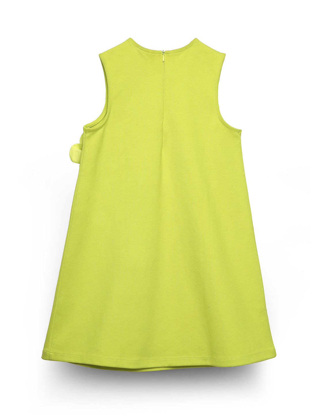 Lime Sleeveless 3D Floral Dress