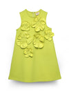 Lime Sleeveless 3D Floral Dress