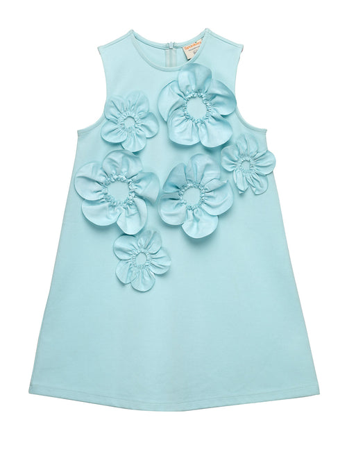Aqua Sleeveless 3D Floral Dress