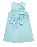 Aqua Sleeveless 3D Floral Dress