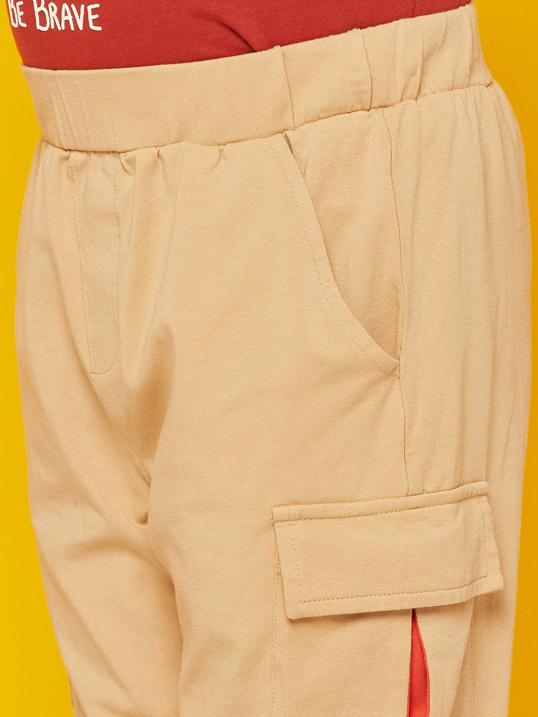 Kid Boys' Lion Print Brown Round Neck T-Shirt with Beige Pants Set