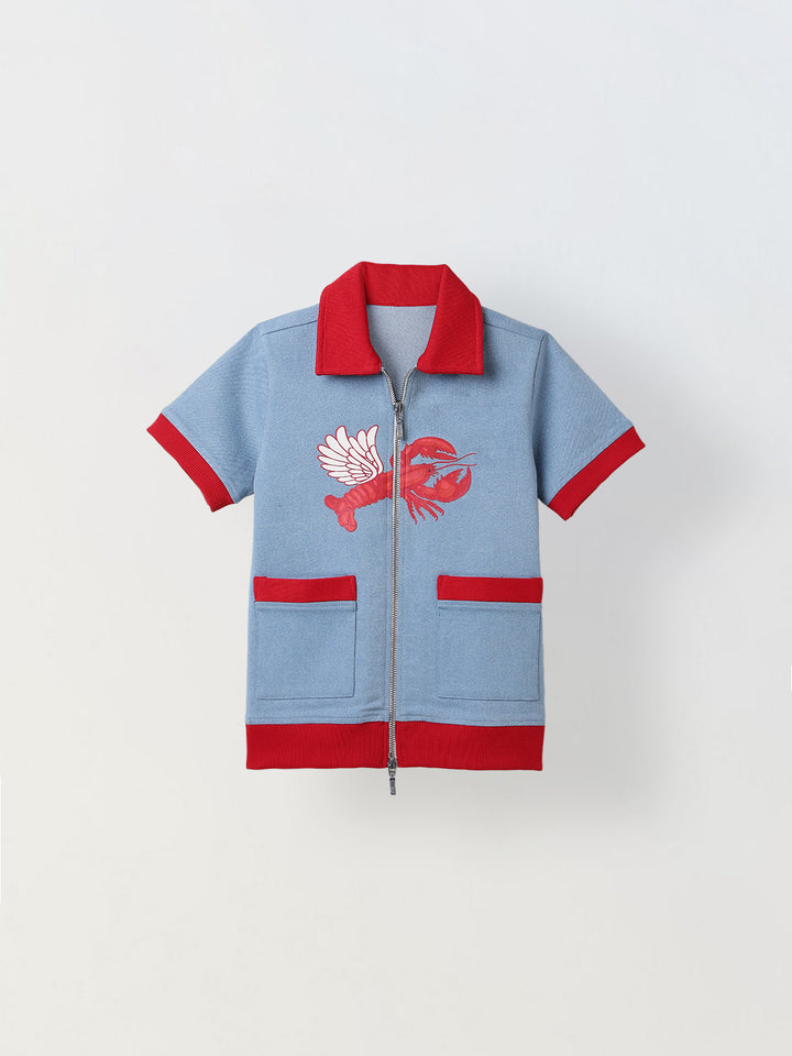 Spunkies Boys Blue Cotton Zip Dress with Graphic Design