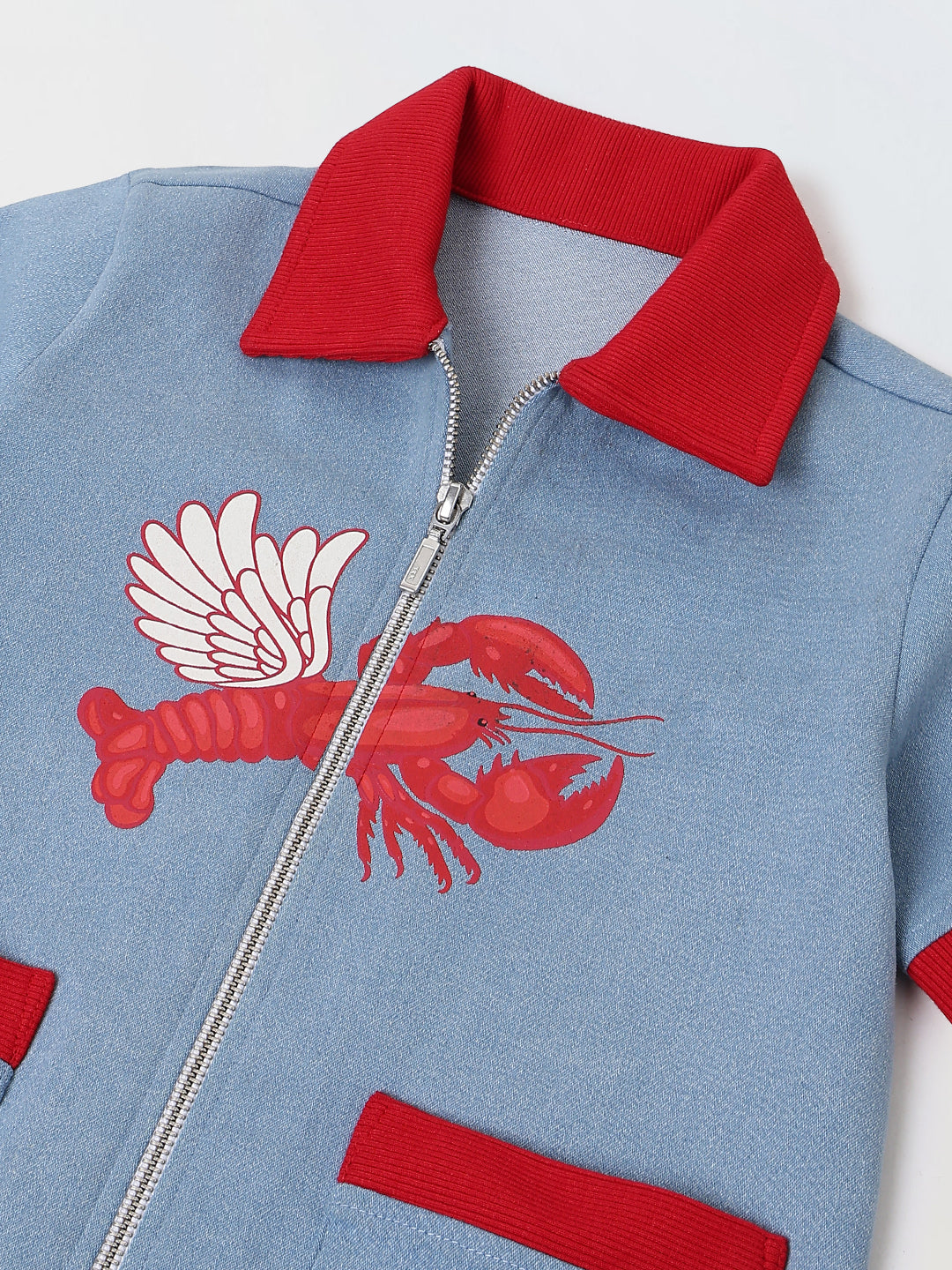 Spunkies Boys Blue Cotton Zip Dress with Graphic Design