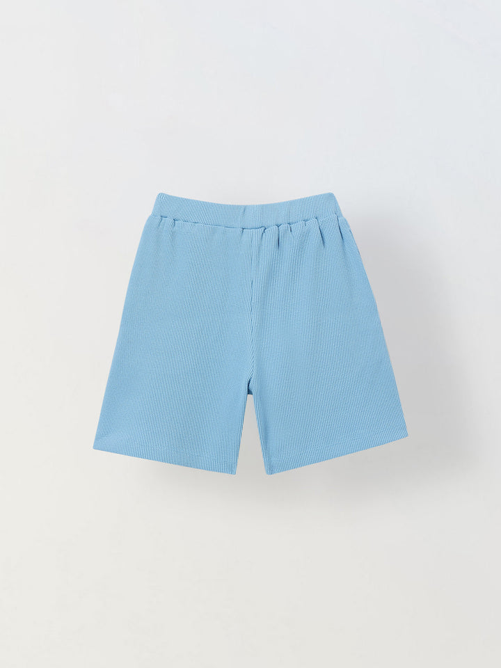 Spunkies Boys Blue Solid Crew Neck Short Sleeves T-Shirt and Shorts Set
