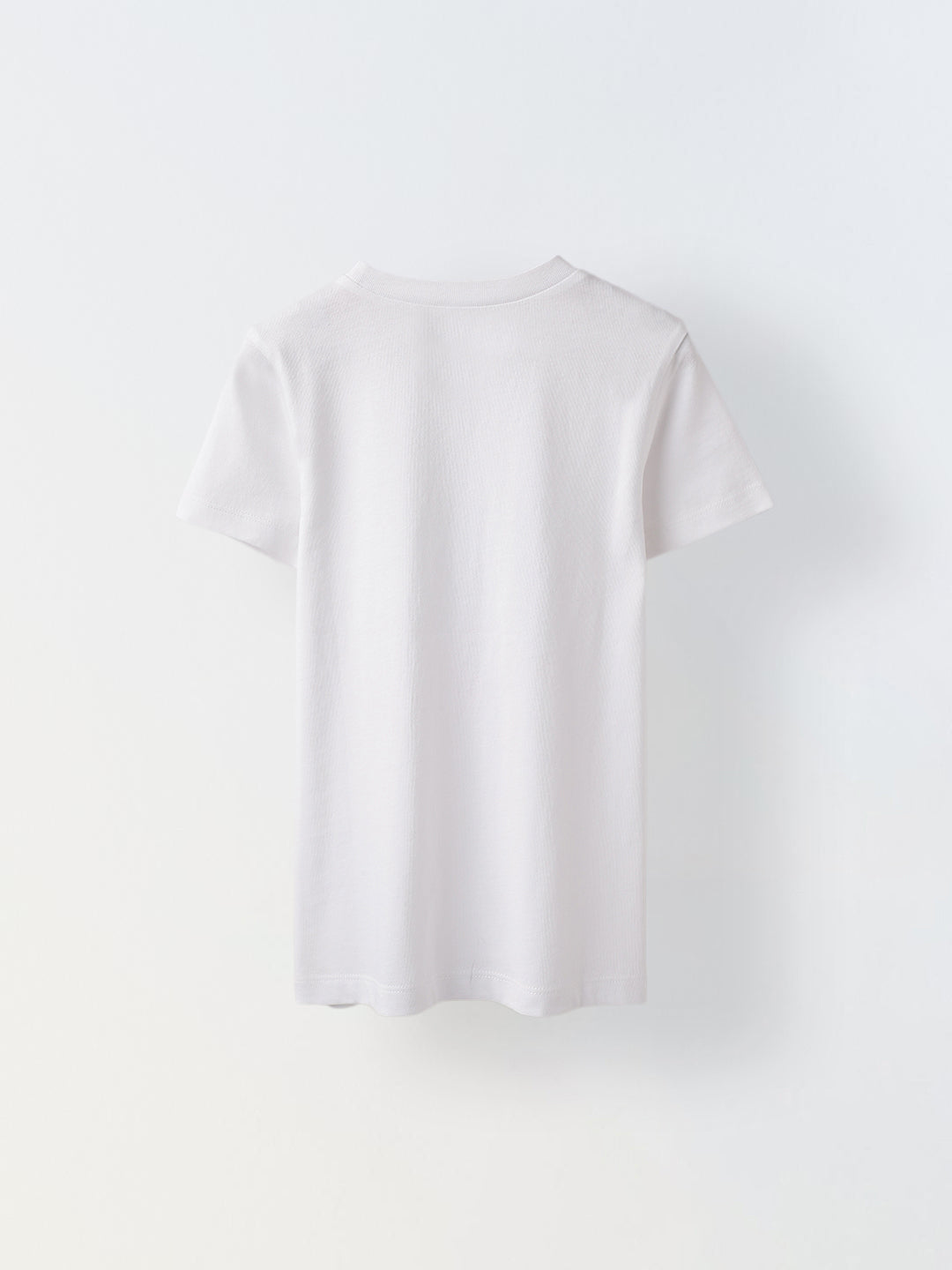 Everyday Scorpion Print T-Shirt