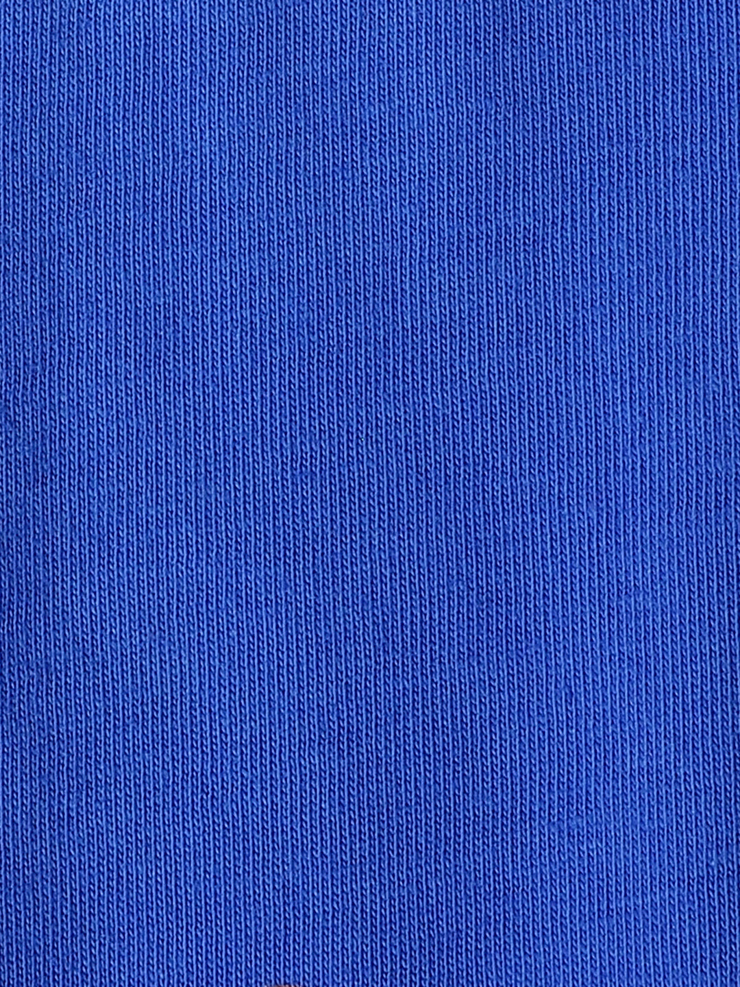 Blue Printed Half Sleeve T-shirt