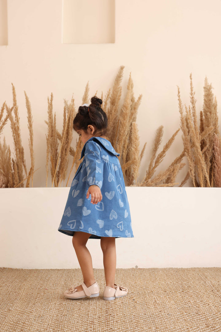Spunkies Girls Blue Denim Embroidered Dress