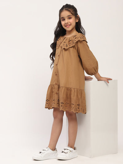 Charming Brown Embroidered Dress for Girls