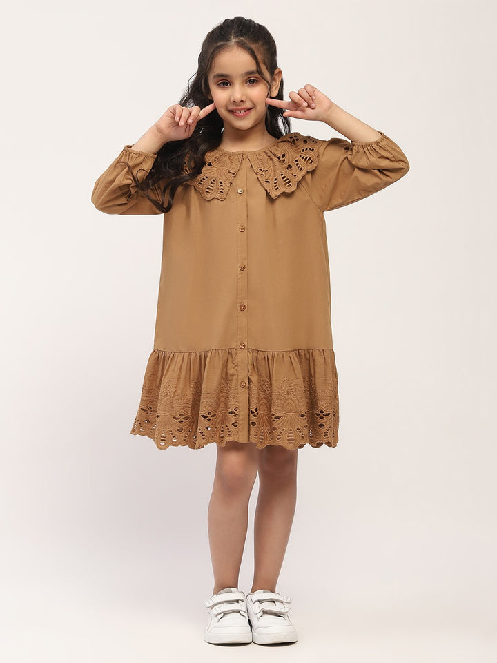 Charming Brown Embroidered Dress for Girls