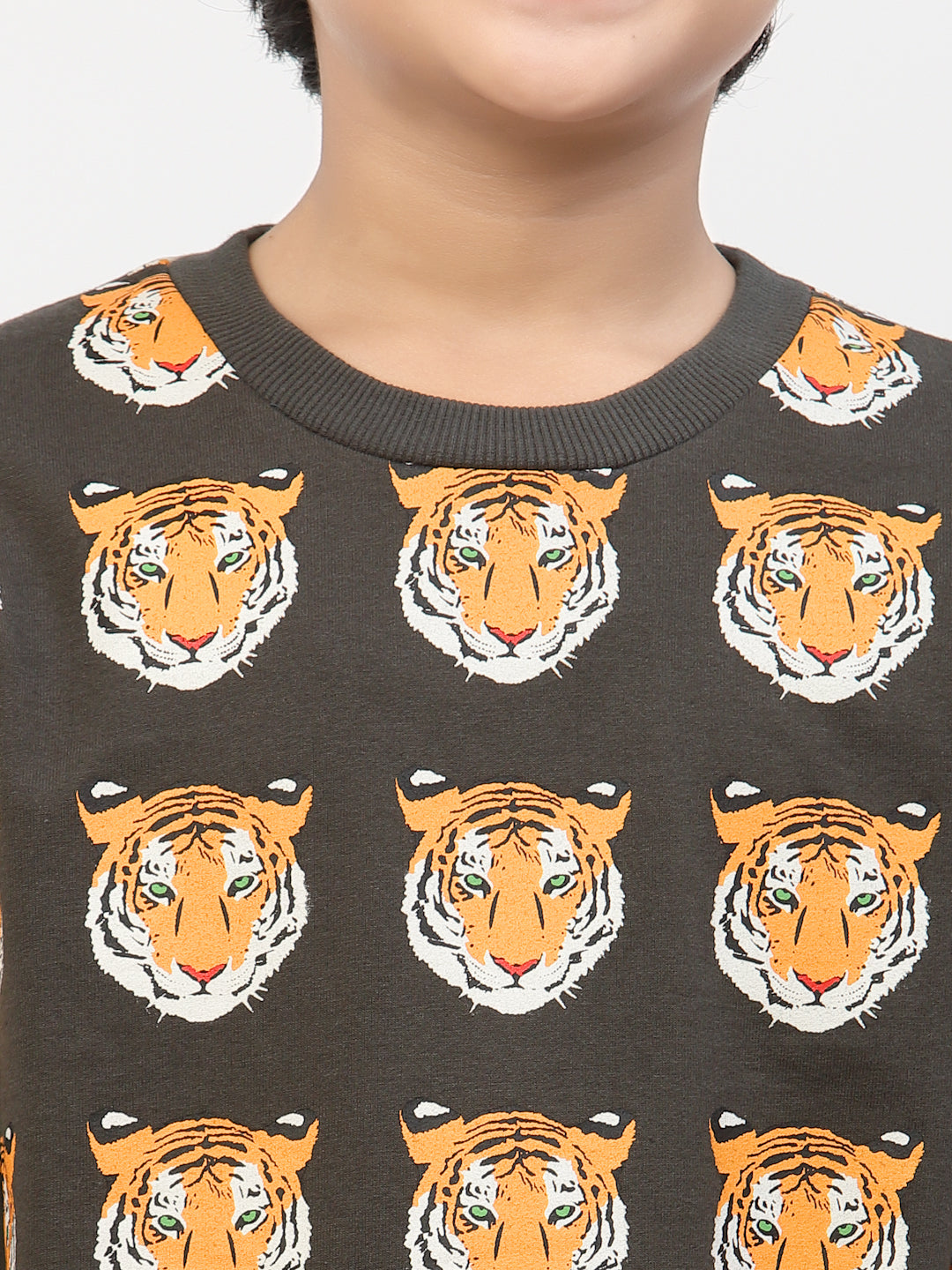 Spunkies Boys Winter Tiger Print Sweatshirt Brown